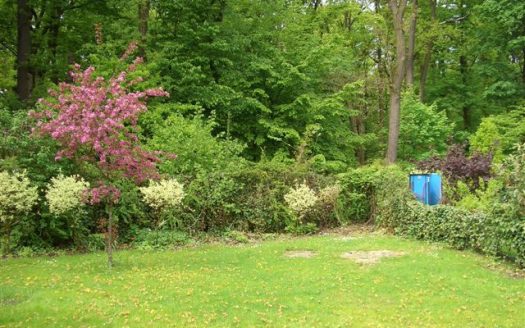 (4257) Zehlendorf/<br>Nähe Heinrich-Laehr-Park-<br>Einfamilienhaus mit Kamin u.Garage!