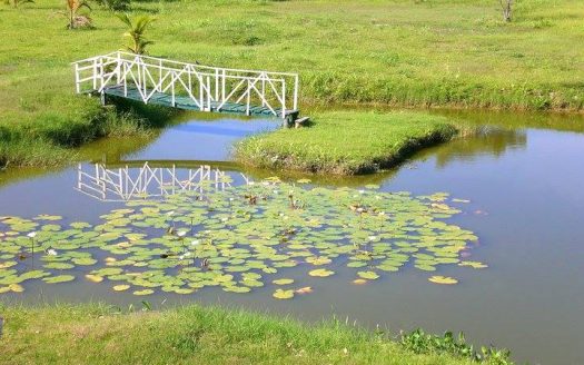 (4993) Honduras-La Ceiba/ Ferienanlage mit eigener Sandstrand im Karibischen Meer-<br>Hotel-Neubau möglich!