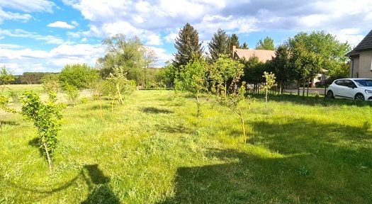 -Spreenhagen/ Einfamilienhaus mit Keller u.Garage + sep.Bauland (Eigentümerwohnrecht erwünscht)-