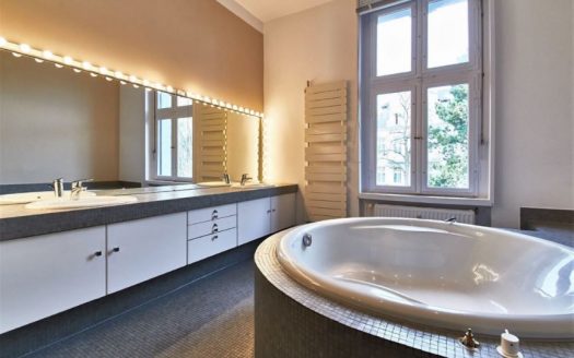 Grunewald / Schöne Loft-Wohnung mit Seeblick