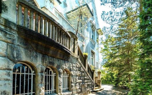 Grunewald / Gründerzeitvilla mit 7 Einheiten und Seezugang zum Königssee (bereits aufgeteilt)