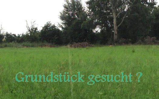 Selchow-Grundstück am Südrand von Berlin