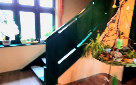 Traumlage im Grünen am Baggersee/ Einfamilienhaus mit Vollkeller im Bestzustand