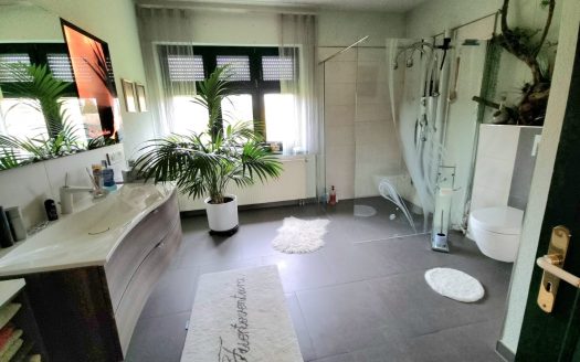 Traumlage im Grünen am Baggersee/ Einfamilienhaus mit Vollkeller im Bestzustand
