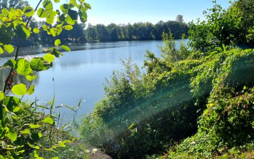 Traumlage am See / Baugrundstück in direkter Wasserlage (Bauvorbescheid liegt vor)