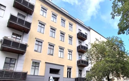 City-Wohnung im Schiller-Kiez/ modernisierte Altbauwohnung mit EBK, Duschbad u.abgez.Dielen