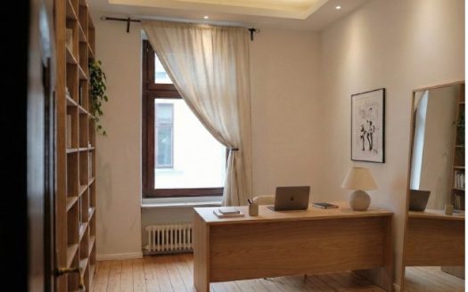 City-Wohnung im Schiller-Kiez/ modernisierte Altbauwohnung mit EBK, Duschbad u.abgez.Dielen